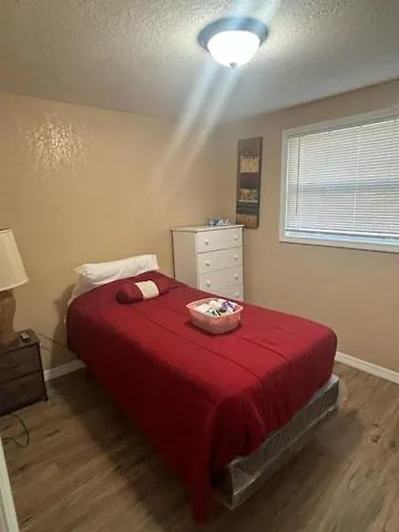 A Home In The Heart Of The City Tampa